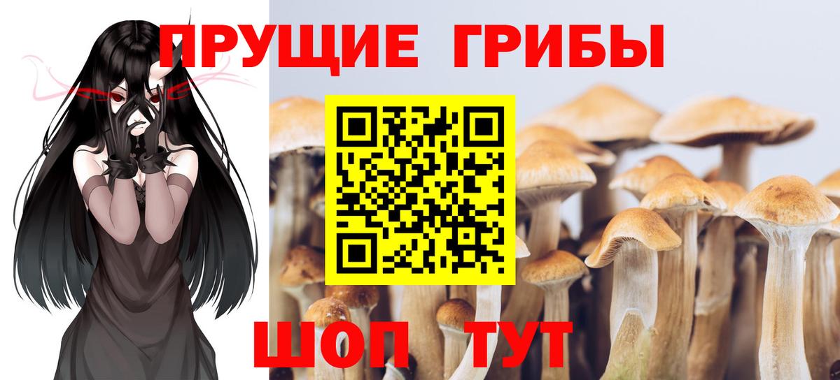 Галлюциногенные грибы мицелий  Вход с VPN  купить наркотик  Валуйки 
